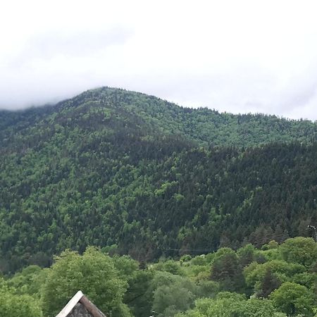 Zviad Guest House Borjomi Exterior photo