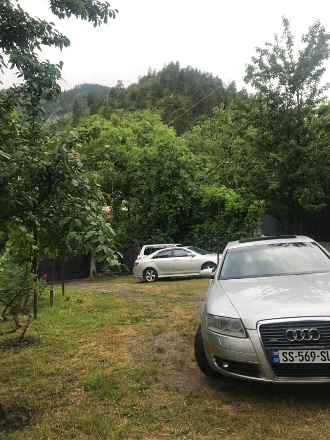 Zviad Guest House Borjomi Exterior photo