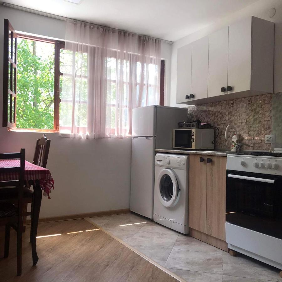 Zviad Guest House Borjomi Exterior photo