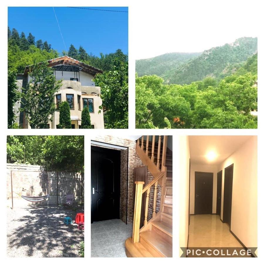 Zviad Guest House Borjomi Exterior photo