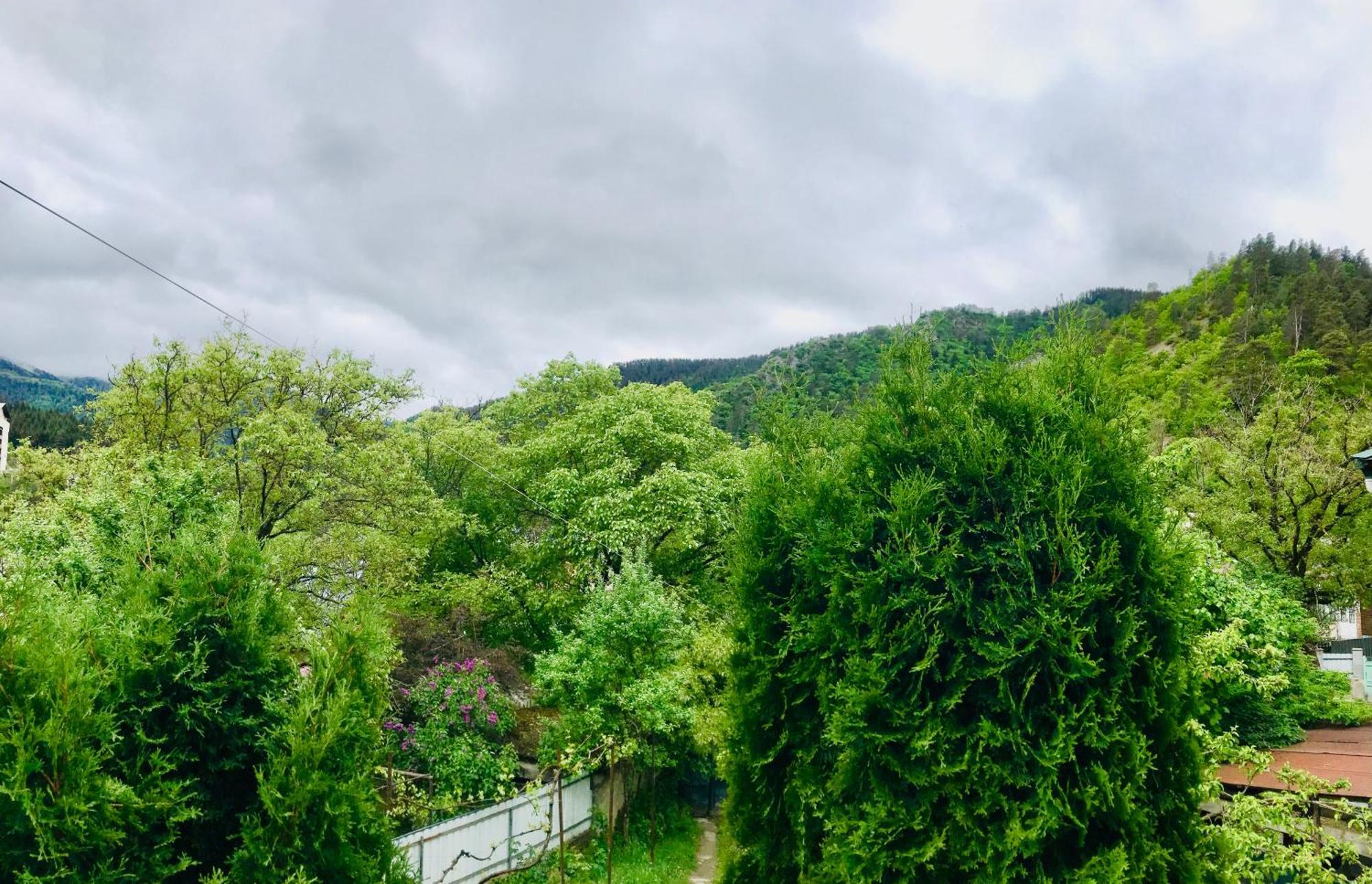 Zviad Guest House Borjomi Exterior photo