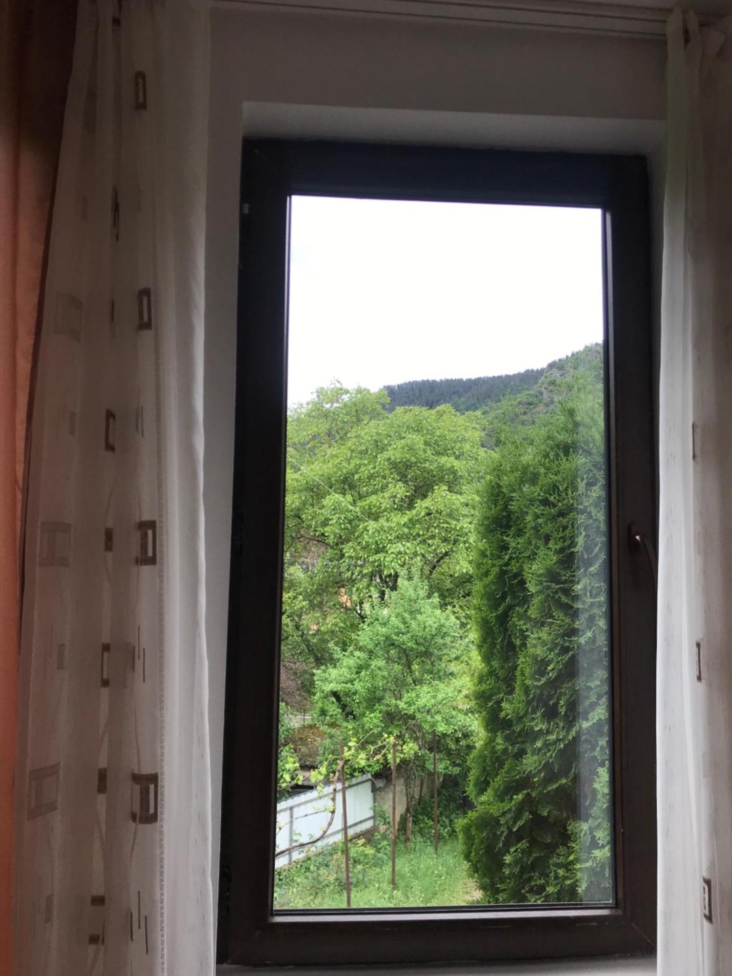 Zviad Guest House Borjomi Exterior photo