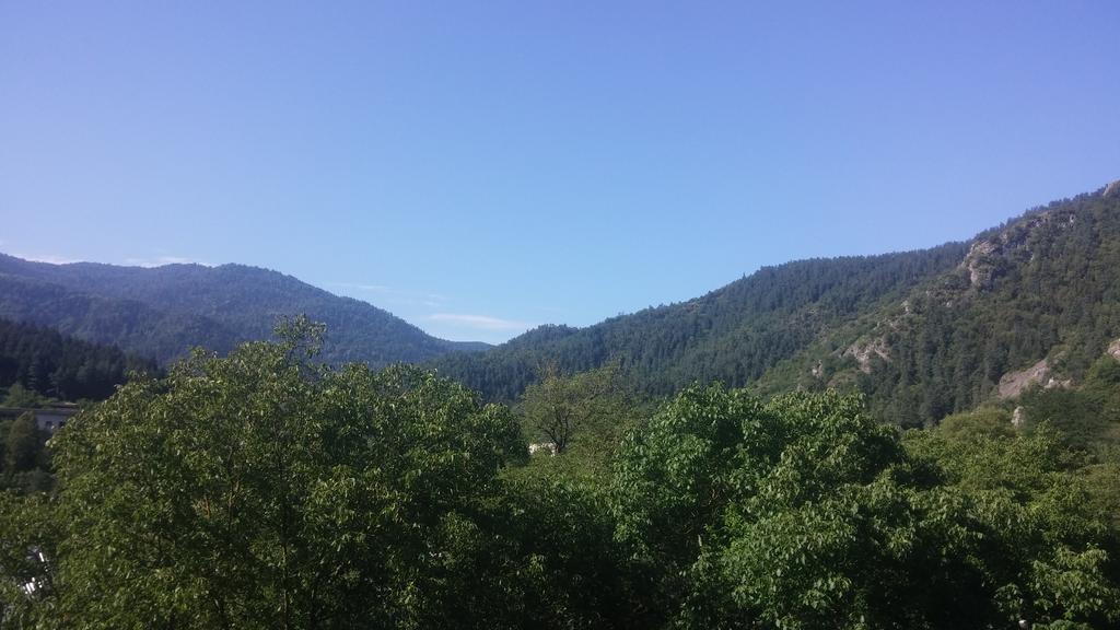 Zviad Guest House Borjomi Exterior photo