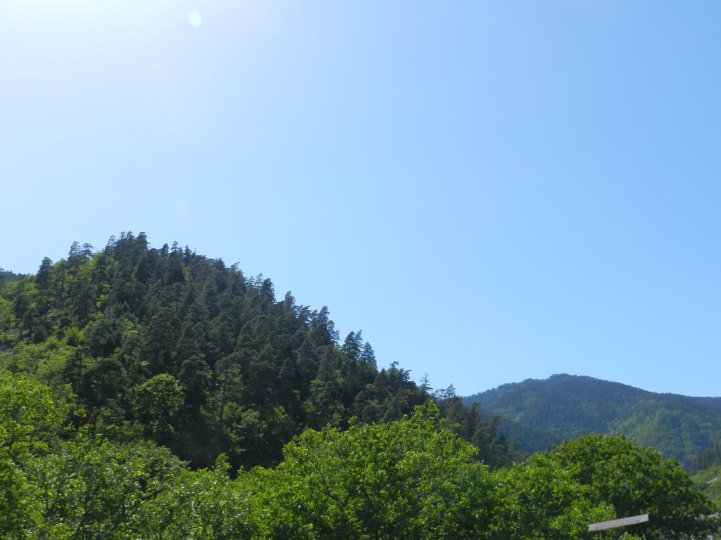 Zviad Guest House Borjomi Exterior photo