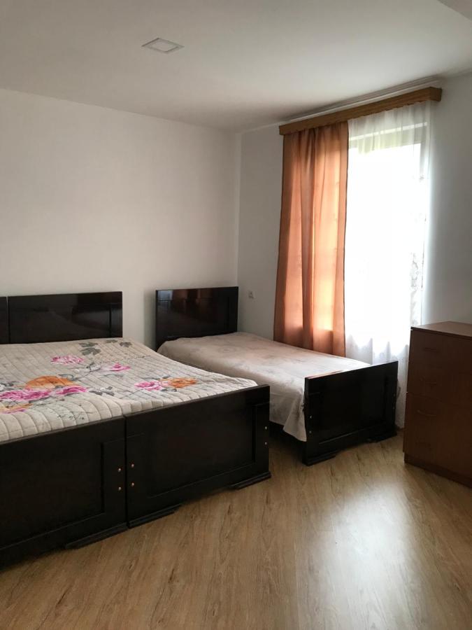 Zviad Guest House Borjomi Exterior photo
